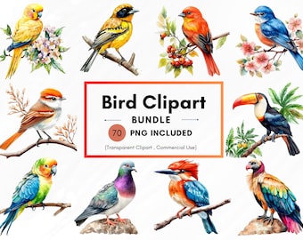 70 Watercolor Birds PNG Clipart Bundle, Vibrant Watercolor Bird Illustrations, Bird Species Images, Bird on Branch, Commercial Use