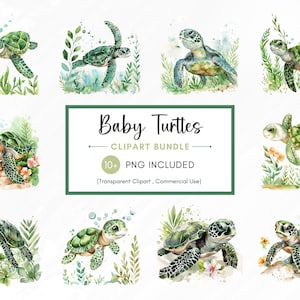 Aquarell Baby Schildkröte Clipart, niedliche Schildkröte Clipart PNG, kleine Schildkröte Printables, sofortiger digitaler Download, unbegrenzte kommerzielle Nutzung