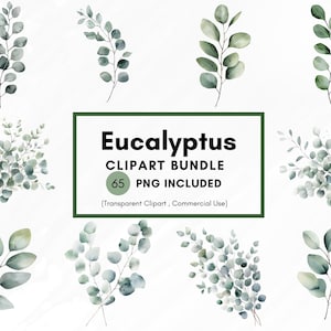 Watercolor Eucalyptus Leaves Clipart, Eucalyptus PNG, Greenery Leaves Clipart, Eucalyptus Border Wreath, Wedding Clipart, Foliage, 300 DPI
