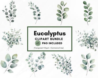 Watercolor Eucalyptus Leaves Clipart, Eucalyptus PNG, Greenery Leaves Clipart, Eucalyptus Border Wreath, Wedding Clipart, Foliage, 300 DPI