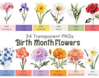 Birth Month Flowers Clipart Bundle, 24 Transparent PNGs, Botanical Floral Illustrations, Birthday Flower Art, Digital Download