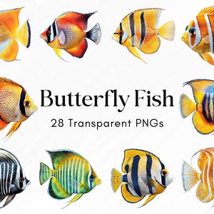 Watercolor Butterfly Fish Clipart Bundle, 28 Tropical Fish PNGs with Transparent Background, Ocean Sea Life Illustrations for Scrapbooking