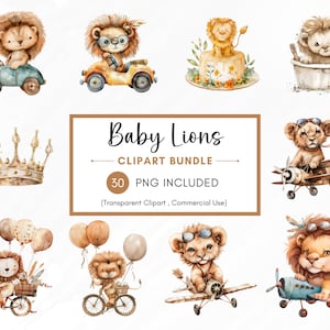 Clipart de leão bebê fofo em aquarela, PNG bebê leão, animalzinho, menino ou menina, decoração de berçário, uso comercial, download instantâneo