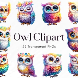 25 Cute Owl Clipart Bundle, Watercolor Floral Owls PNG, Baby Owl Clip Art, Boho Owl Illustrations, Sparkling Owl Sublimation Clipart