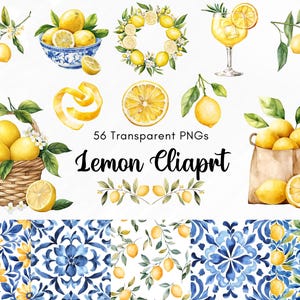 Lemon Clipart Bundle, 56 Transparent PNGs, Watercolor Citrus Fruit Illustrations, Summer Lemon Decor, Digital Download