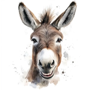 25 Esel Portrait Clipart JPGs, Esel Illustration, druckbare Aquarell Clipart, Aquarell Eselköpfe, Lustige Gesichter, Esel Clipart