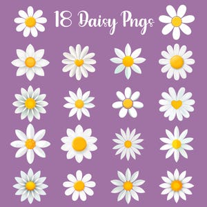 Lot de 18 cliparts fleur marguerite, clipart floral PNG Transparent, fleurs printanières en téléchargement numérique, jolies marguerites pour autocollants, créations de cartes