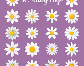 18 Daisy Blume Clipart Bundle, transparente PNG Floral Clip Art, Frühlingsblumen Digital Download, süße Gänseblümchen für Aufkleber, Karten Handwerk