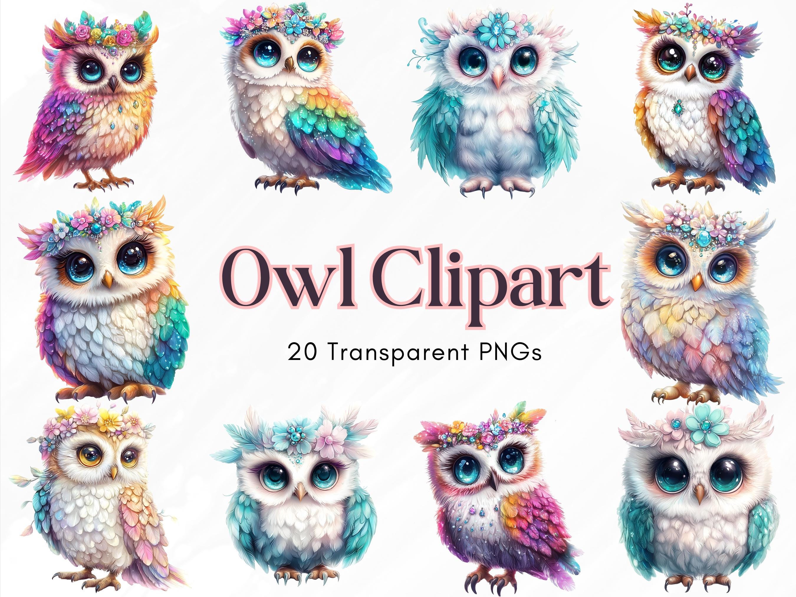 Cute Owl Clipart Bundle, Watercolor Floral Owls PNG, Baby Owl Clip Art, Boho Owl Illustrations, Spar