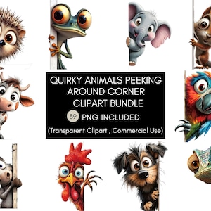 Clipart di animali divertenti che sbirciano / PNG di animali carini che sbirciano / Grafica di animali selvatici dei cartoni animati che sbirciano / Download digitale