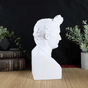 Napoléon Bonaparte Desktop Decoration Bust Sculpture - Decorative Art Statue image 6