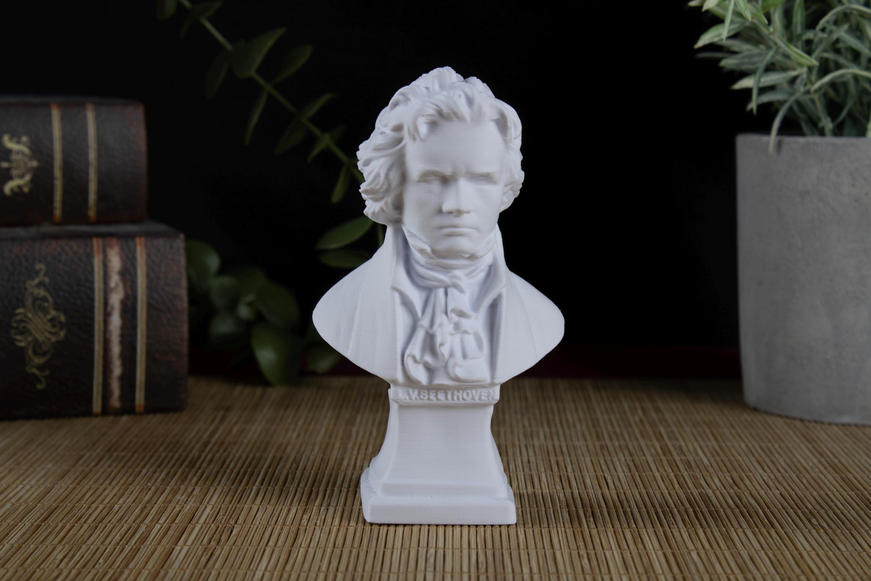 Beethoven Bust - Etsy