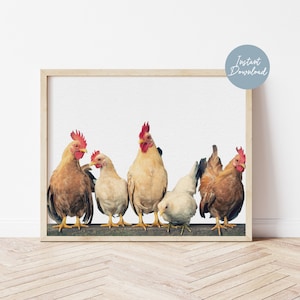 Chicken Print, Kitchen Wall Art, Rooster, Hen, Farm Animal, Chicken Download Print, Row of Chicken Poster,Farmhouse Decor,Farmhouse Wall Art