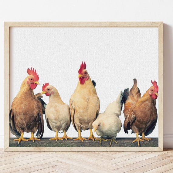 Huhn Poster, Hahn, Huhn, Hahn, Hühner Poster, Hühner Poster, Hühnerreihe  Poster, Bauernhof Wandkunst