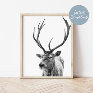 Deer Print, Black and White, Stag Print, Printable Wall Art, Digital Download Art, Deer Photo, Deer Wall Art, Deer Printable, digital Prints