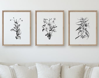 Set of 3 Botanical Prints, Farmhouse Prints, Modern Farmhouse Wall Art, Botanical Wall Art, Botanical Print Set, Botanical Black & White