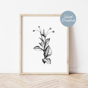 Botanical Print, Farmhouse Prints, Modern Farmhouse Wall Art, Botanical Wall Art, Botanical Print Set, Botanical Black & White Digital Print