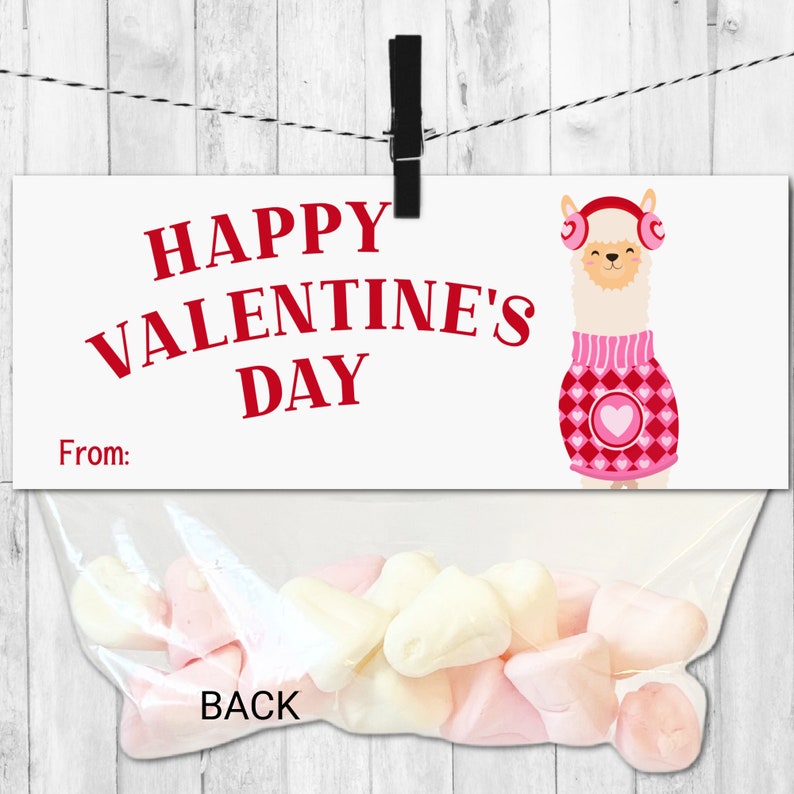 PRINTABLE Valentines Day Card for Kids, Valentine Treat Topper for Kids, Valentine Card for Class, Kids Valentine Card, Printable Valentine image 2