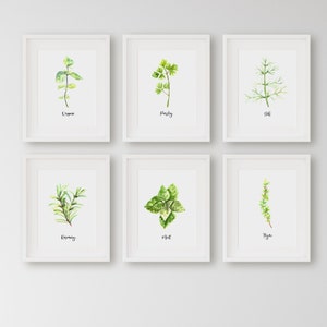 Herbs Set of 6 Watercolor Painting, Kitchen Prints, Sage Thyme Rosemary Parsley, Gallery Wall Set, Kitchen Decor Herb Prints, Herb Painting