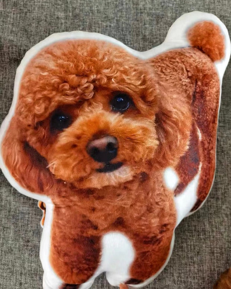 Personalized Photo Pet Cushion/pillow Toys Dolls Stuffed Animal Pillow Sofa /car Decorative