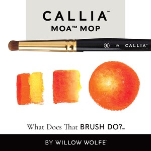 May include: A black and gold CALLIA MOA MOP makeup brush with a brown brush head. The image includes orange and yellow watercolour swatches and the text "What Does That BRUSH DO?" by Willow Wolfe.