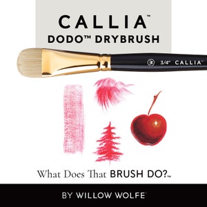 May include: A close-up of a Callia Dodo Drybrush paintbrush with a 3/4 inch width. The brush is shown with a gold ferrule and a black handle. The brush is used to create different effects with paint, as shown in the image. The image also includes the text "What Does That Brush Do?" and "By Willow Wolfe".