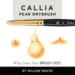 May include: A black and gold drybrush with the text "CALLIA PEAK DRYBRUSH" and the question "What Does That BRUSH DO?" is displayed. The image shows brush strokes and a pear illustration.