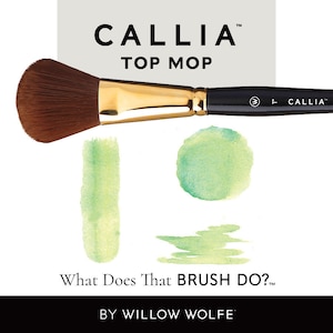 May include: A makeup brush labelled "CALLIA TOP MOP" with a brown brush head, gold ferrule, and black handle. The image includes green watercolour swatches and the text "What Does That BRUSH DO?" and "BY WILLOW WOLFE".