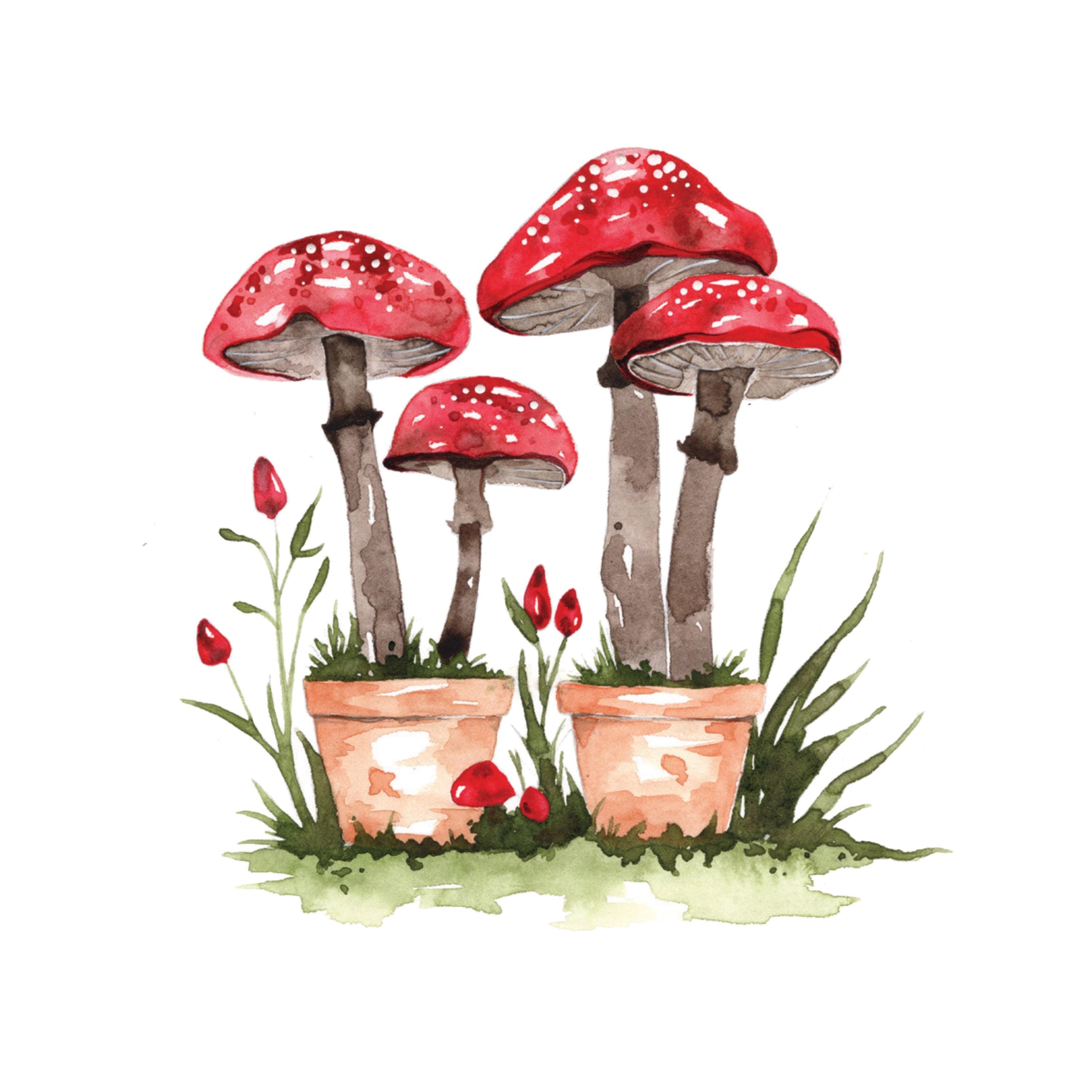 Fall Into Color Watercolor Workbook by Nya Wolfe - Etsy