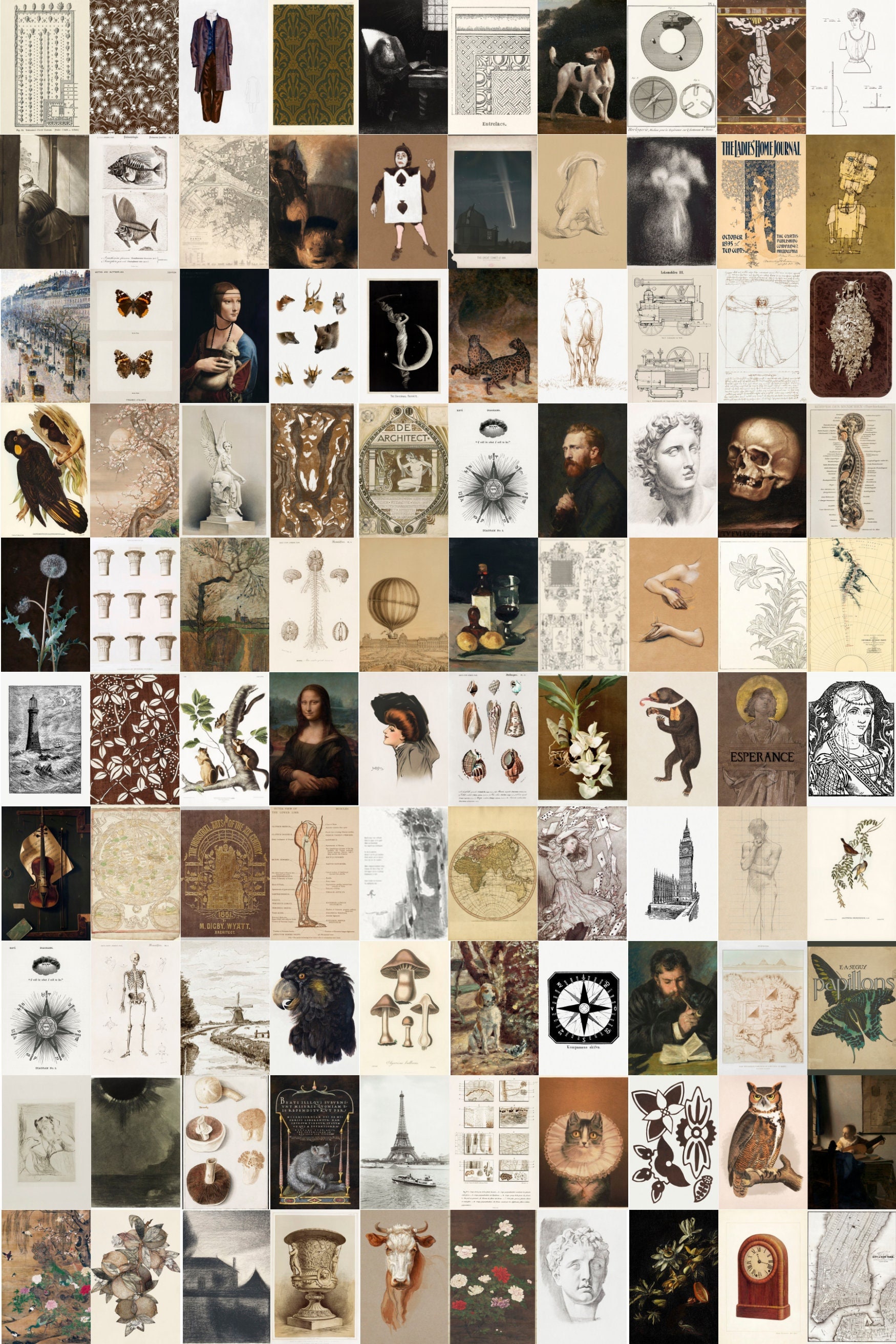 Dark Academia Wall Collage Kit, Vintage Poster Wall Decor, Dark