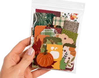 May include: A clear plastic resealable bag containing a collection of assorted paper die-cut shapes in autumn colors. The set includes various tags, leaf cutouts, and rectangular cards featuring patterns of pumpkins, plaid, and floral motifs.