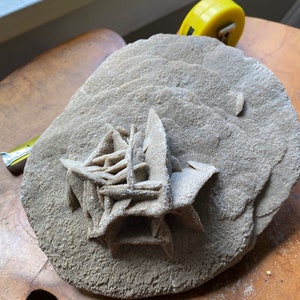 Large 3lb Dessert Rose Sand Gypsum - unique two sided