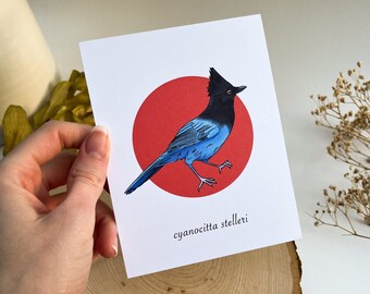 Steller's Jay Postcard, Bird Postcard, Vintage Postcard, Retro Postcard, Bird Gift, Animal Postcard, Retro Bird Art, Steller's Jay