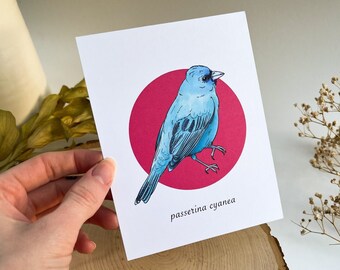 Indigo Bunting Postcard, Bird Postcard, Vintage Postcard, Retro Postcard, Bird Gift, Animal Postcard, Retro Bird Art, Bunting