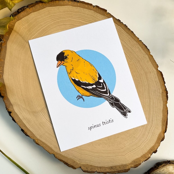 American Goldfinch Postcard, Bird Postcard, Vintage Postcard, Retro Postcard, Bird Gifts, Animal Gifts, Animal Postcard, Retro Bird Art