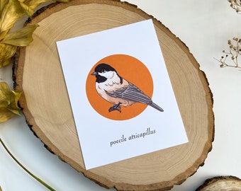 Chickadee Postcard, Bird Postcard, Vintage Postcard, Retro Postcard, Bird Gift, Animal Postcard, Retro Bird Art, Chickadee