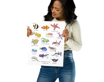 Sea Creature Poster, Fish Poster, Shark Poster, Coral Reef Poster, Sea Animal Art, Sea Animal Art Print, Sea Animal