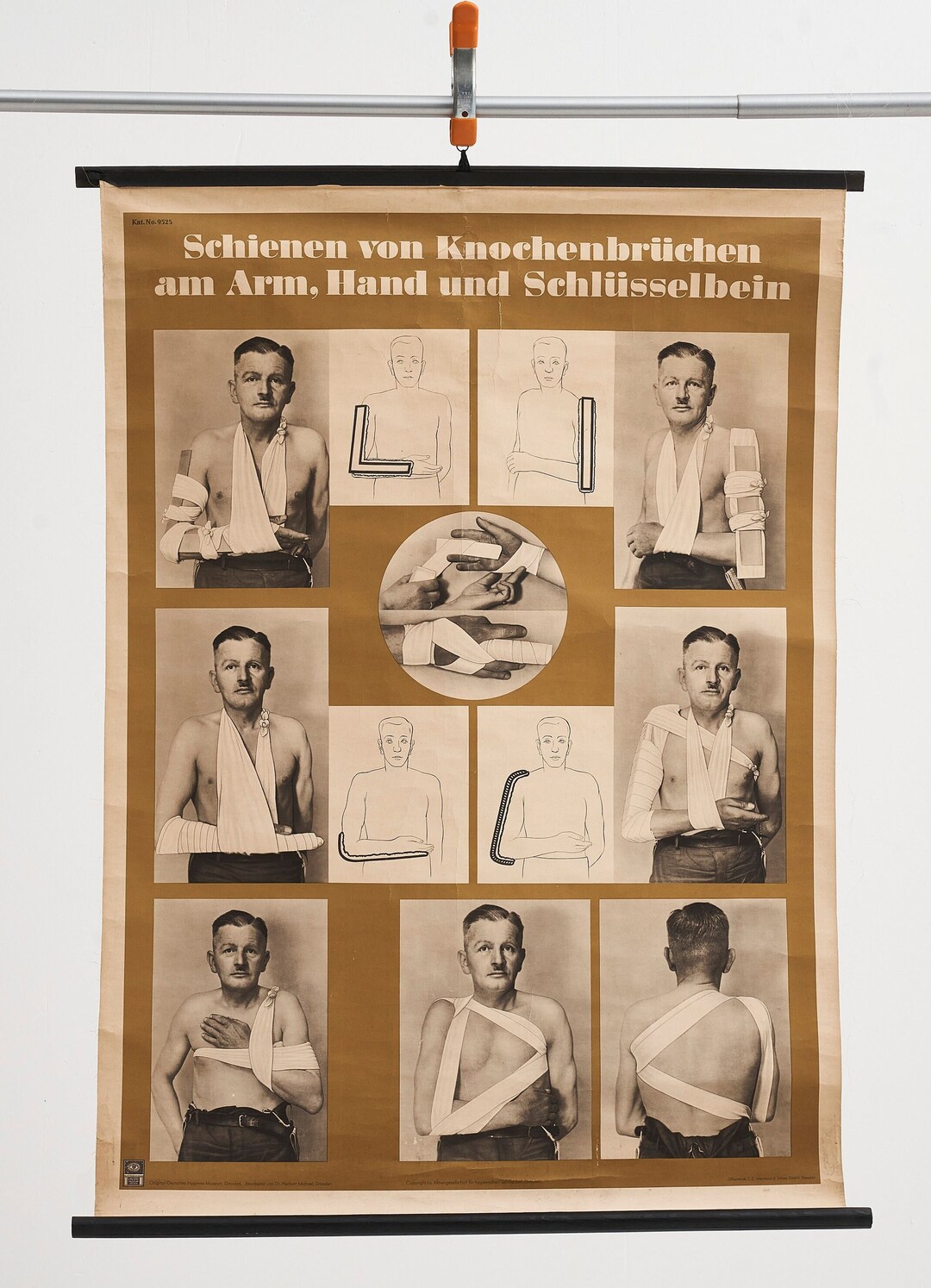 Roll Down Wall Chart Medical, Anatomy. German Vintage School Chart ...