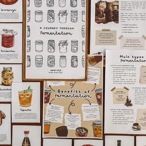 Fermenteringsvetenskapsstudie – Hemundervisningsenhetsstudie