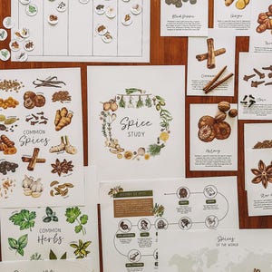 May include: A set of educational printable worksheets for learning about spices and herbs. The worksheets include illustrations of common spices and herbs, a map of the world showing where spices are grown, and a timeline of the history of spice trade. The worksheets are designed to be used in a classroom or at home.