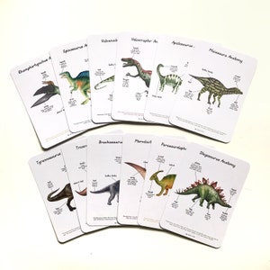Anatomiekaarten - Dinosaurussen