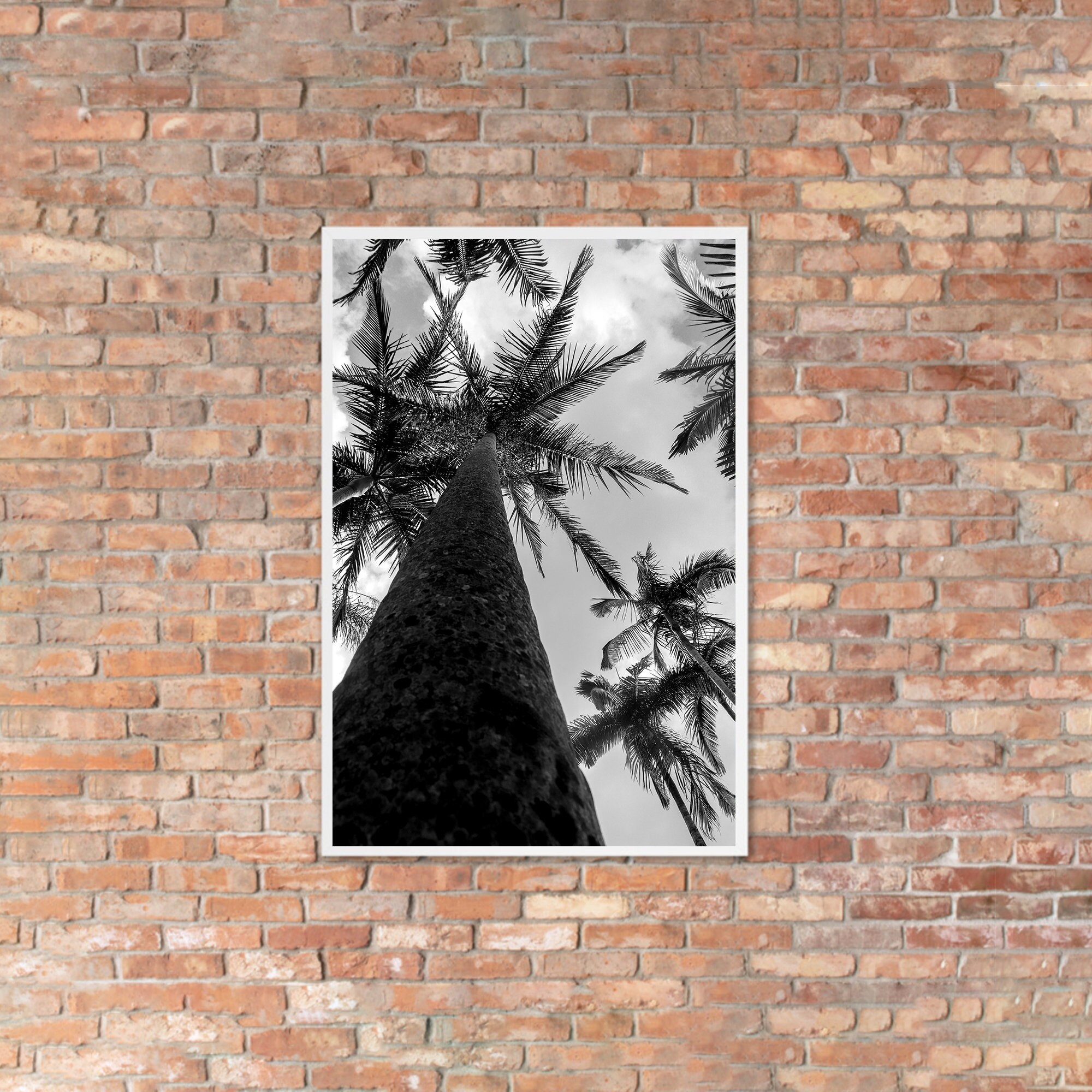 Palm Tree Wall Art Digital Photo Digital Poster Australian Etsy UK