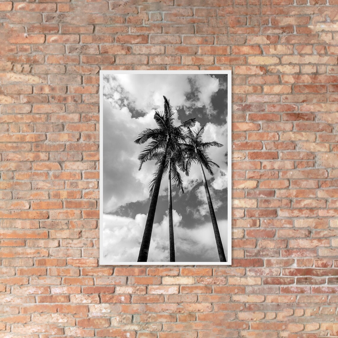 Palm Tree Wall Art, Photo numérique, Palmiers noirs et blancs, Affiche