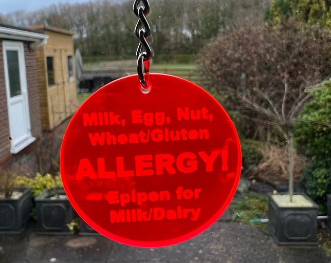 Medical Alert Keyring, Medical Alert Bag Tag, Medical Bag Fob, Epipen Awareness, Allergy Keyring, Penicillin Keychain, Emergency Keyring