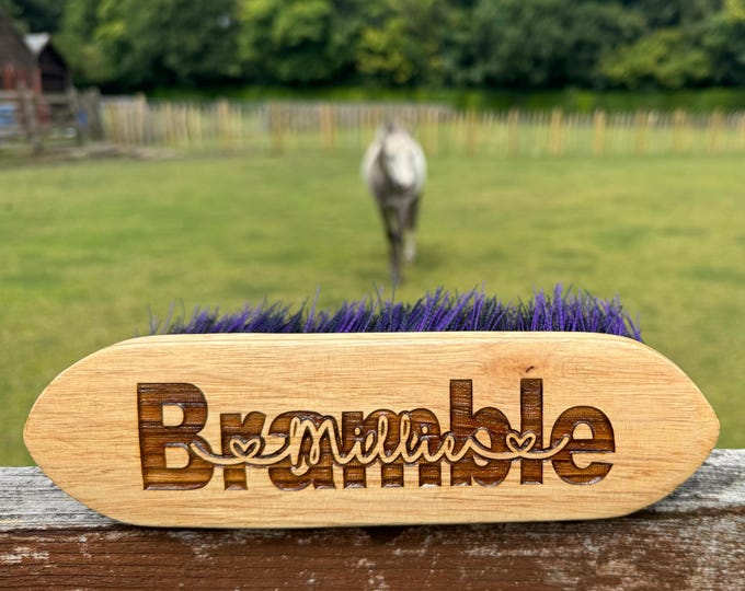 Personalised Horse Brush, Custom Horse Brush, Equestrian Gift, Horse Gift, Horse Tack, Pony Gift, Horse Gift Set, Custom Grooming Kit