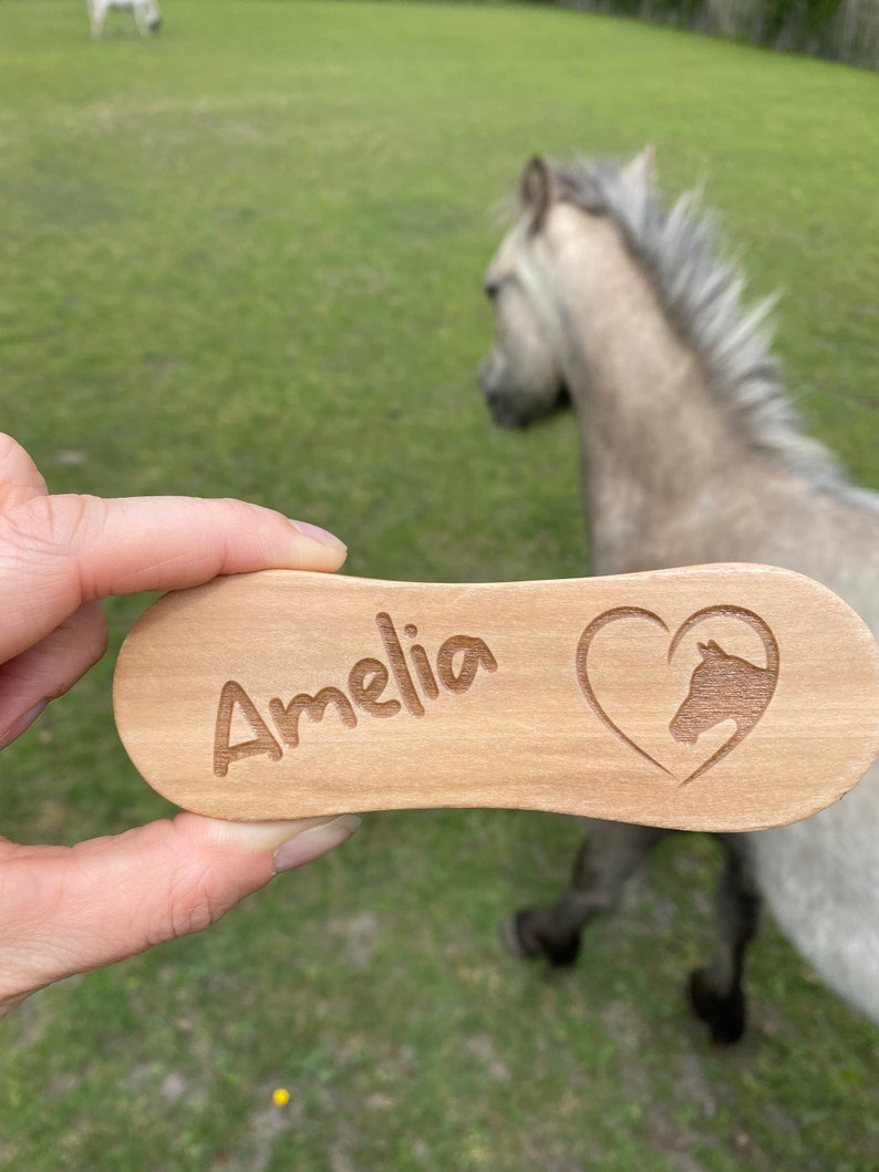 Personalised Horse Brush Horse Face Brush Equestrian Gift Etsy
