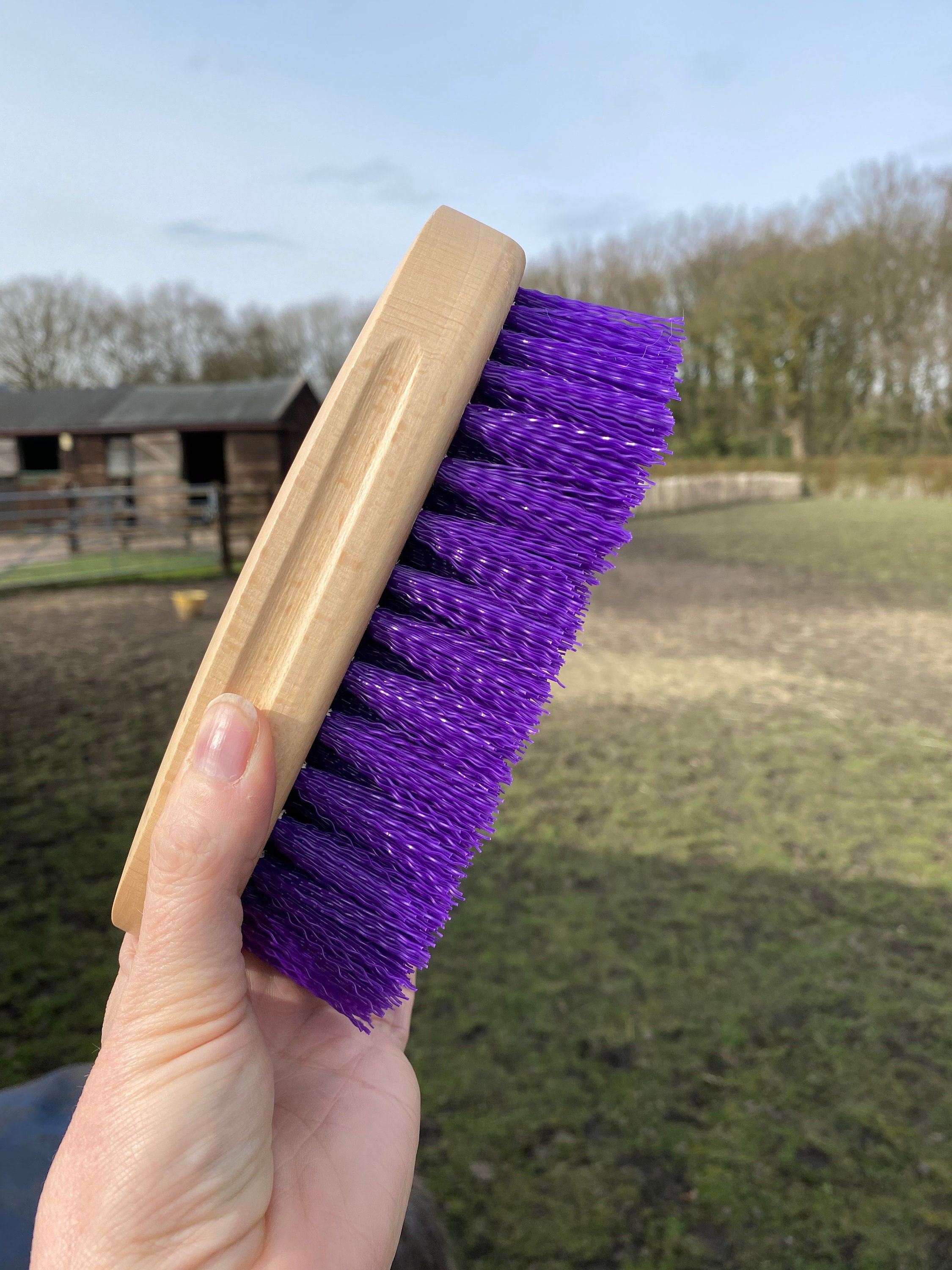 Personalised Horse Grooming Brush Dandy Brush Shire Horse Etsy UK