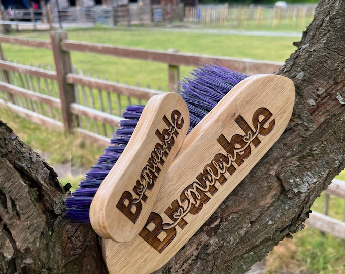 Personalised Horse Brush Set, Flick & Face Brushes, Personalised Horse, Equestrian Gift, Horse Gift, Horse Gift Box, Horse Riding, Pony Gift