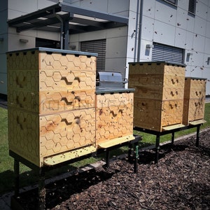 3D CNC files [.dxf & .stl plans] for 12 US Dadant bee hives according to Beer/Adam I 25 mm wall thickness I beespace I 2 queens I beekeeper