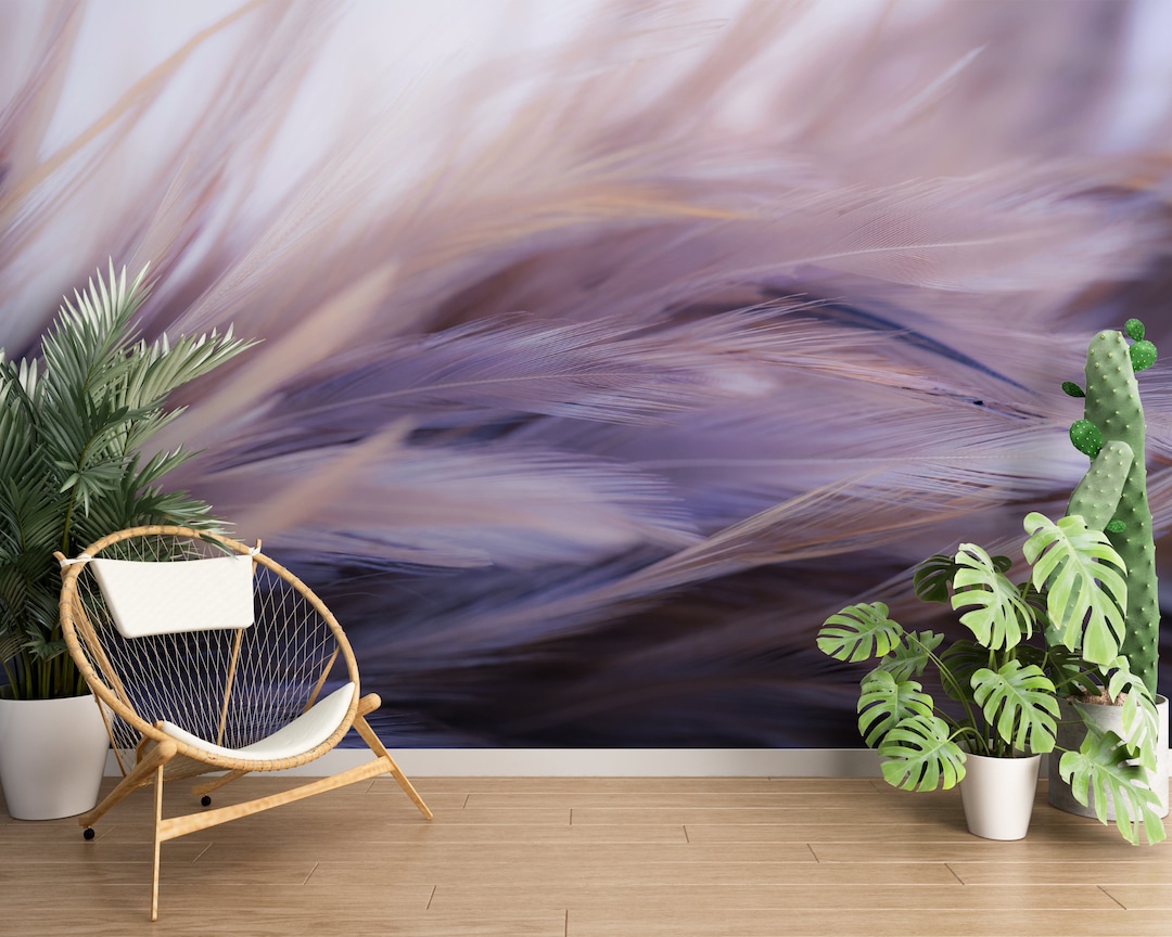 3D Colored Feather WG03 Wall Murals